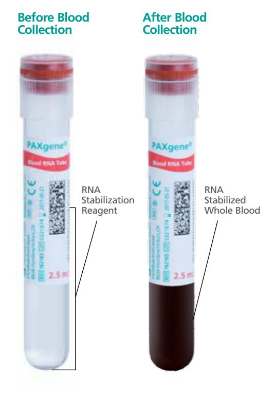 BD 762165 PAXgene Blood RNA Tube 全血RNA科研保存管_华雅思创生物 自营店