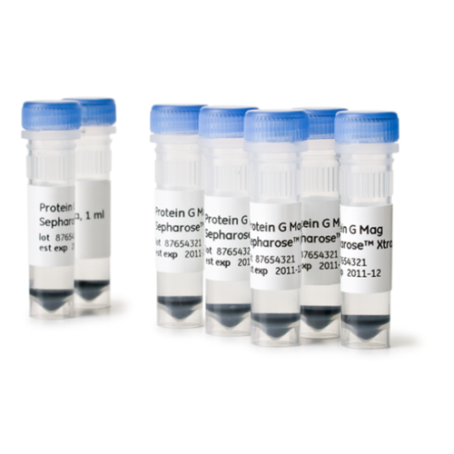 Cytiva Protein G Mag Sepharose™ Xtra 货号 28967070(5×1 mL)